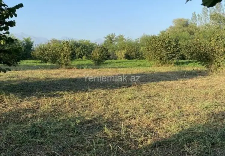 74 sot Torpaq Satılır, Oğuz