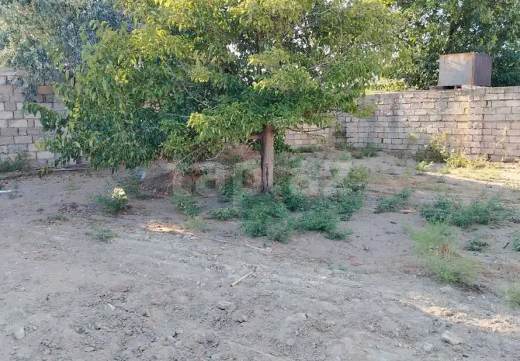 0 m² Obyekt / Ofis , Albalı qəs., Sabunçu, Bakı