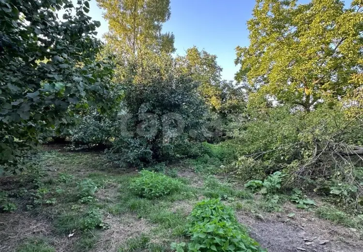 0 m² Obyekt / Ofis , Quba