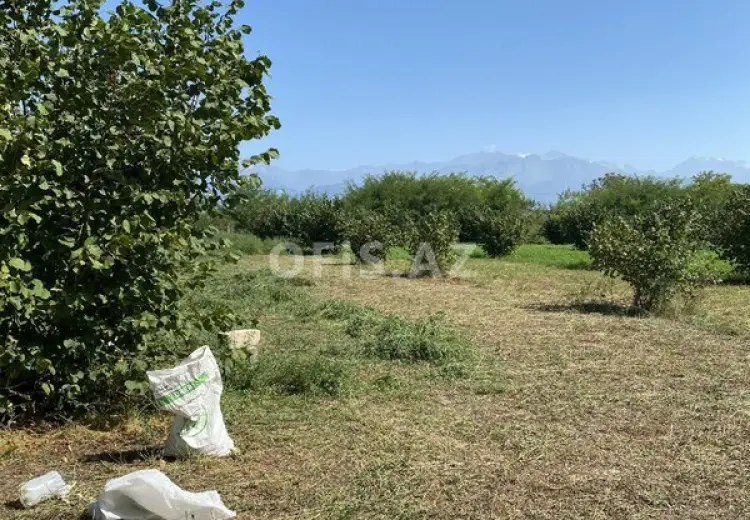 0 sot Torpaq Satılır, Oğuz
