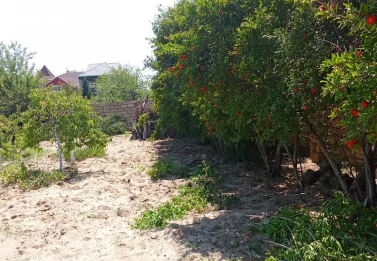 6 sot Torpaq Satılır, Sumqayıt