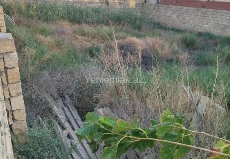 4 sot Torpaq Satılır, Masazır, Abşeron