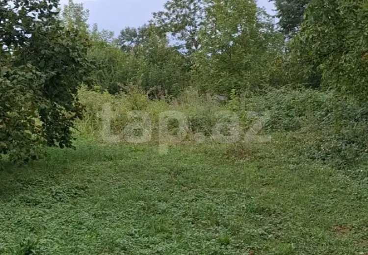 0 m² Obyekt / Ofis , Qəbələ