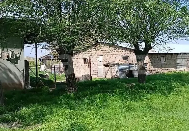 0 m² Obyekt / Ofis , İmişli