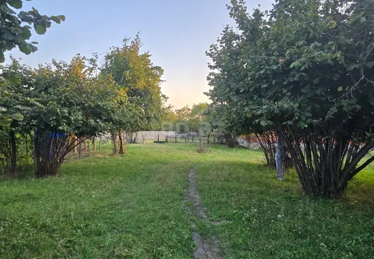 0 m² Obyekt / Ofis , Zaqatala