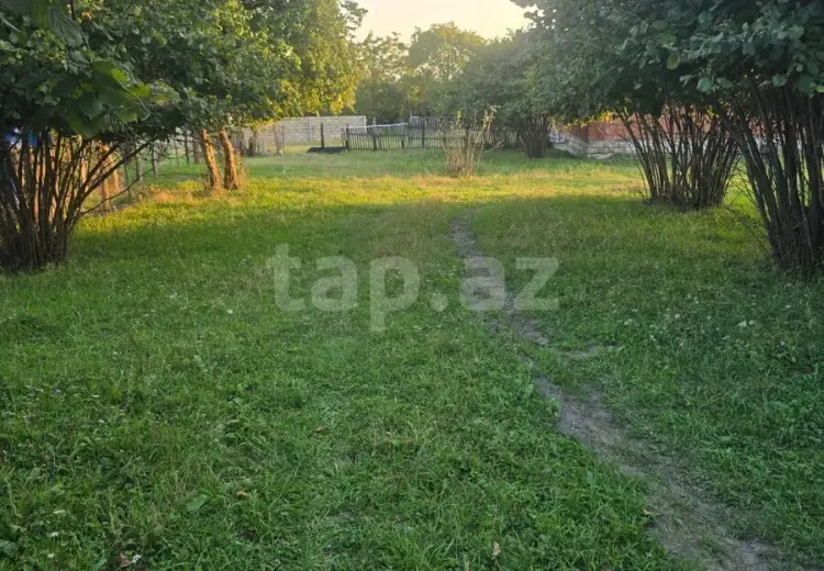 0 m² Obyekt / Ofis , Zaqatala
