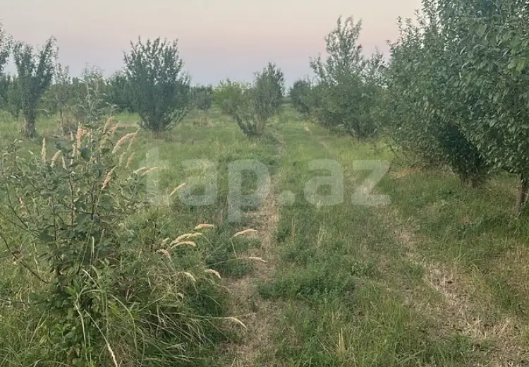 0 m² Obyekt / Ofis , Lökbatan qəs., Qaradağ, Bakı
