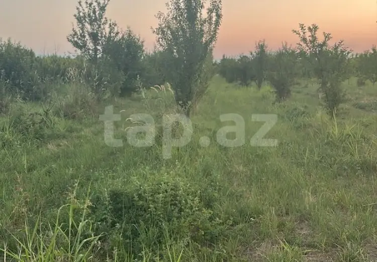 0 m² Obyekt / Ofis , Lökbatan qəs., Qaradağ, Bakı