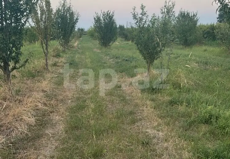 0 m² Obyekt / Ofis , Lökbatan qəs., Qaradağ, Bakı