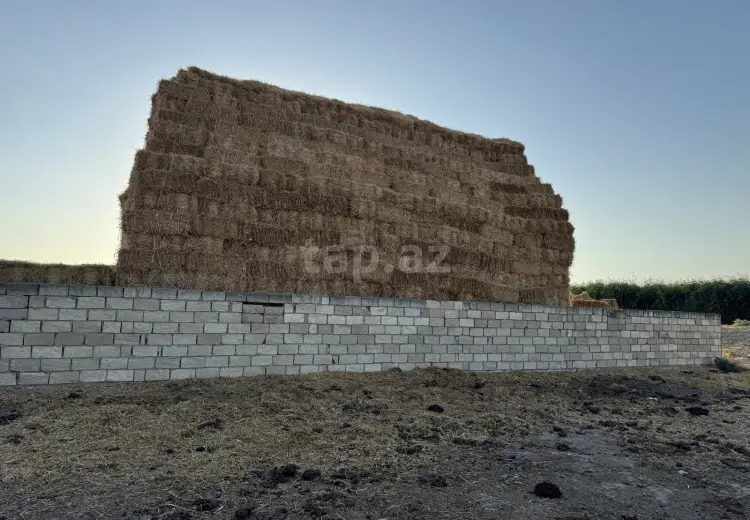 0 m² Obyekt / Ofis , Xızı