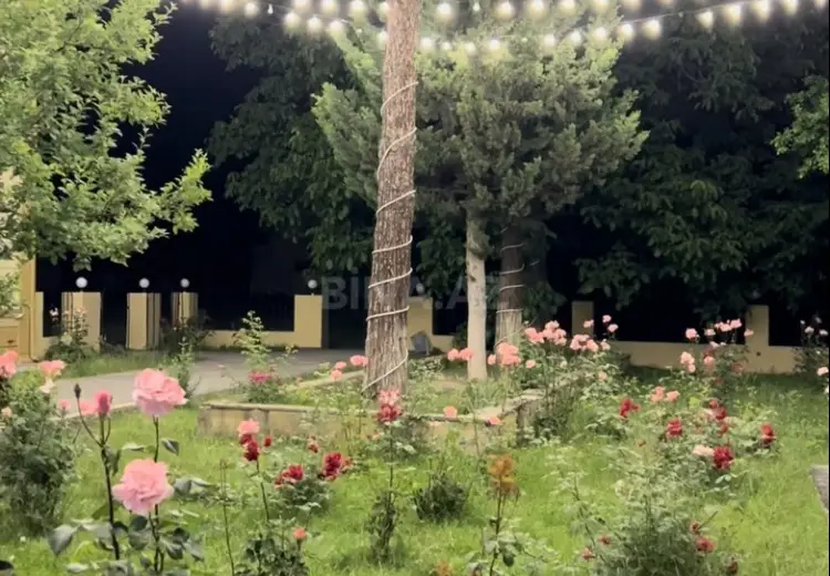 1000 m² Obyekt / Ofis Satılır, İsmayıllı