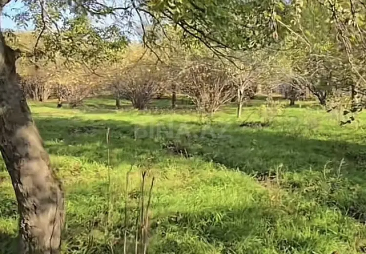 27 sot Torpaq Satılır, Qəbələ