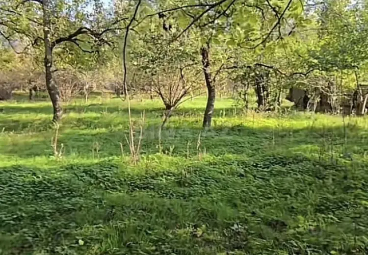 27 sot Torpaq Satılır, Qəbələ