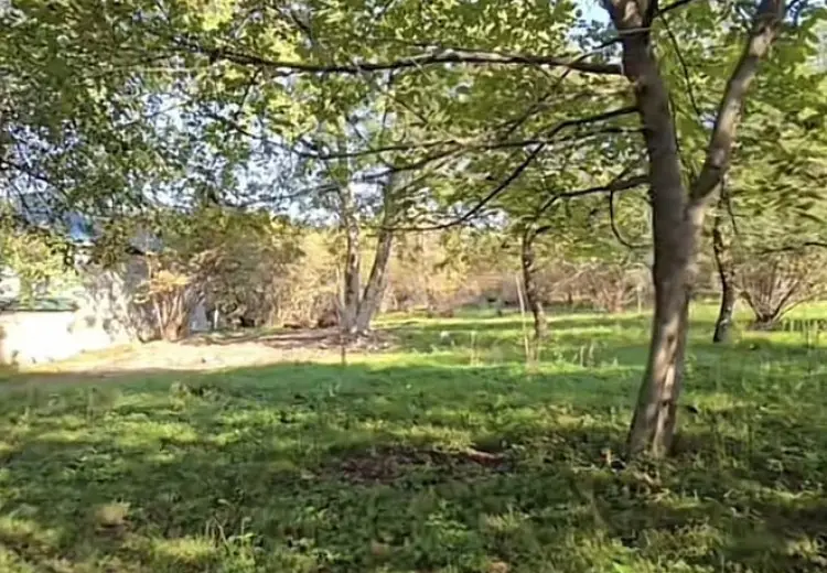 27 sot Torpaq Satılır, Qəbələ