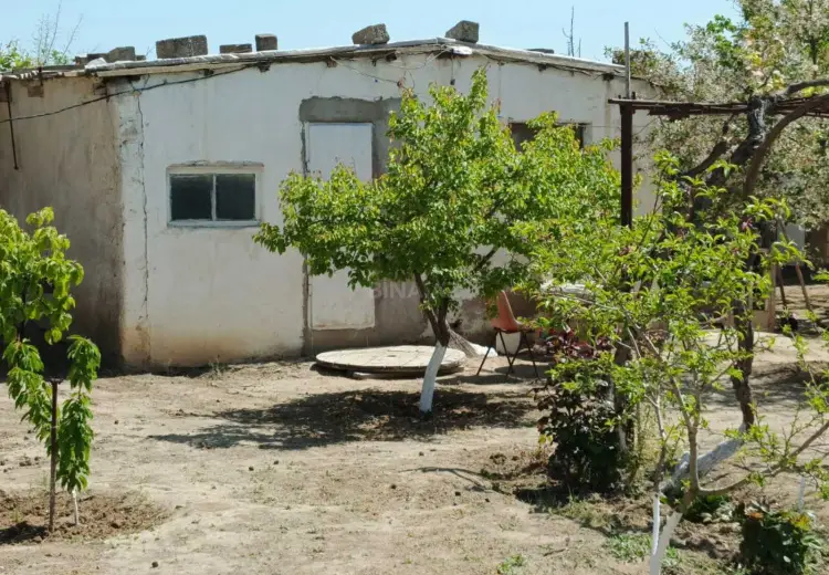 50 sot Torpaq Satılır, Məştağa qəs., Sabunçu, Bakı
