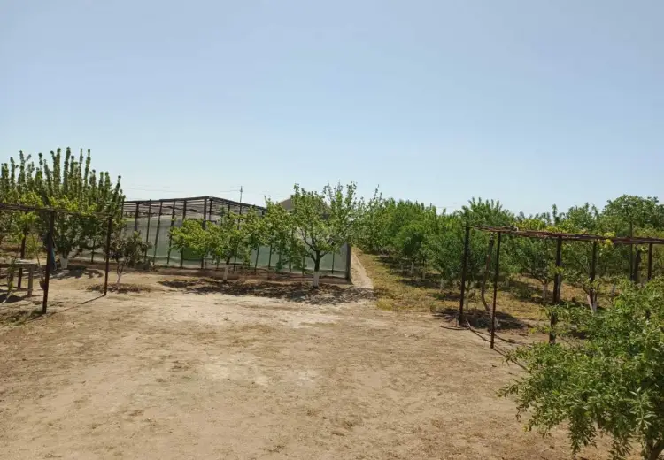 50 sot Torpaq Satılır, Məştağa qəs., Sabunçu, Bakı