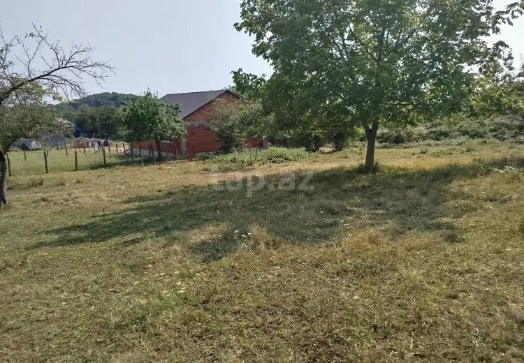 0 m² Obyekt / Ofis , Zaqatala