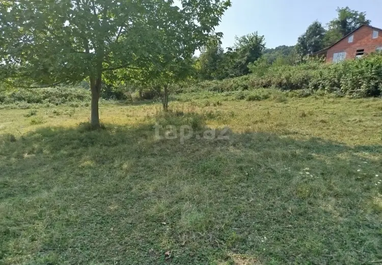 0 m² Obyekt / Ofis , Zaqatala