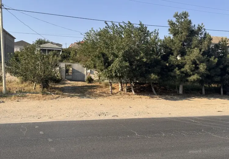 110 sot Torpaq Satılır, Saray, Abşeron