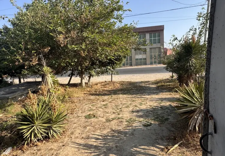 110 sot Torpaq Satılır, Saray, Abşeron