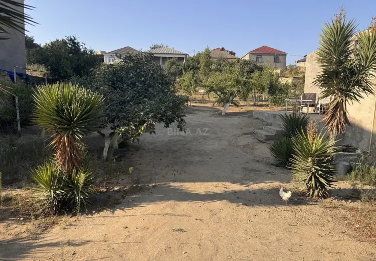 110 sot Torpaq Satılır, Saray, Abşeron
