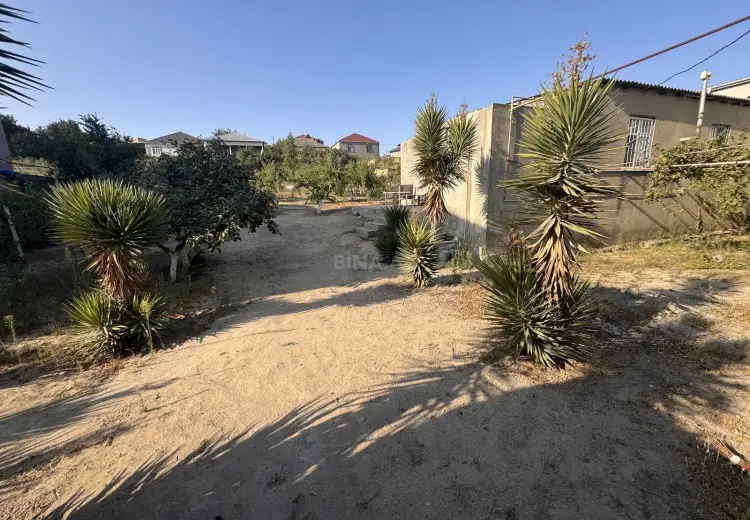 110 sot Torpaq Satılır, Saray, Abşeron