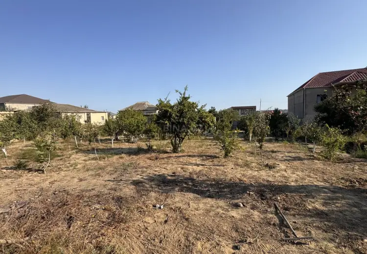 110 sot Torpaq Satılır, Saray, Abşeron