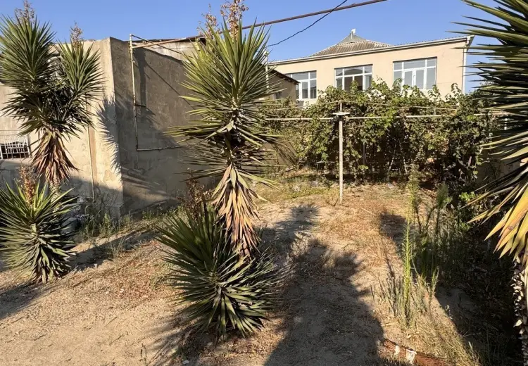 110 sot Torpaq Satılır, Saray, Abşeron