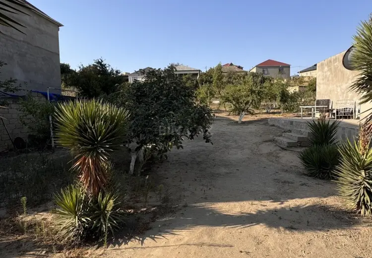 110 sot Torpaq Satılır, Saray, Abşeron