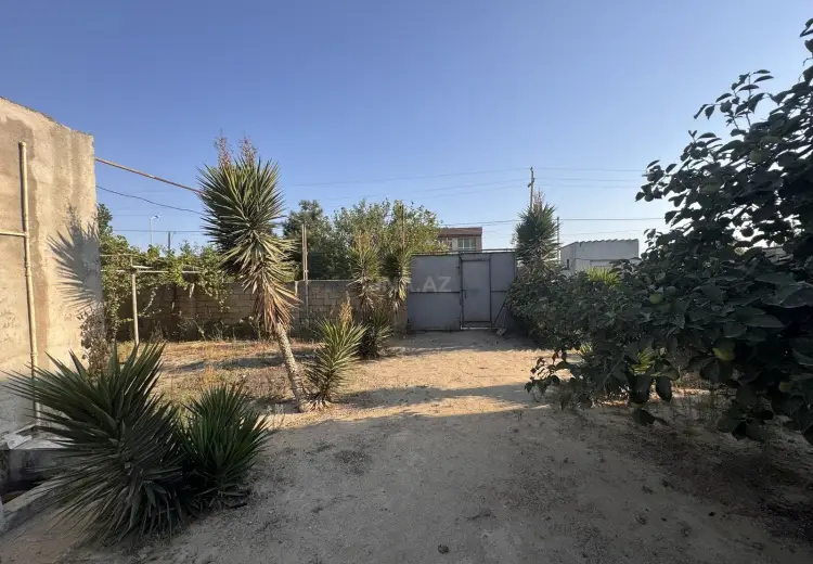 110 sot Torpaq Satılır, Saray, Abşeron