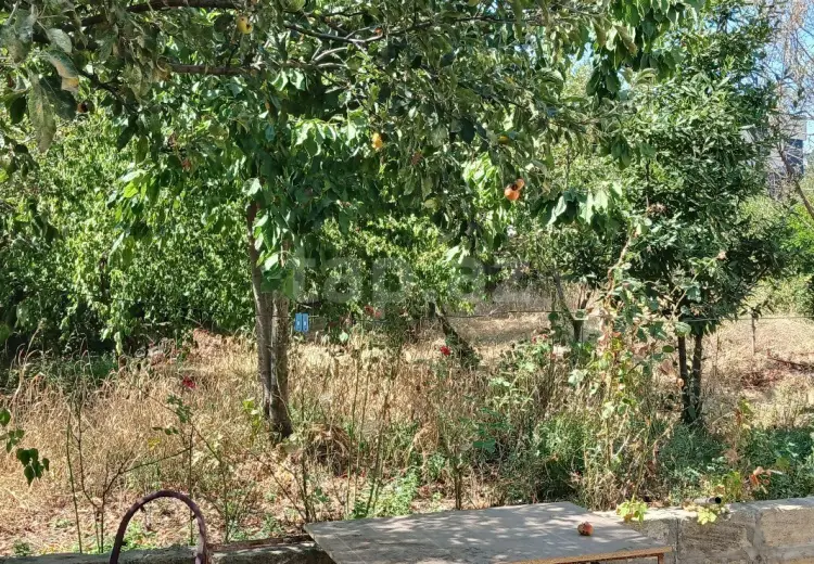 450 AZN - 8 otaqlı mənzil Kirayə (aylıq), Şamaxı