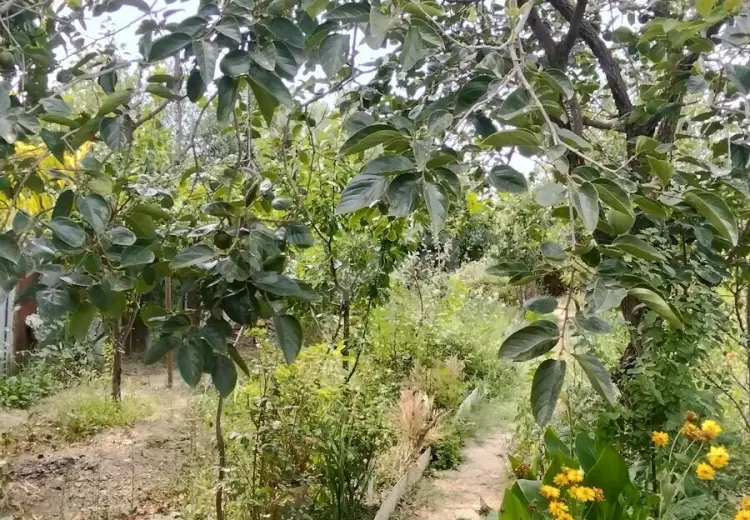 4 otaqlı mənzil , Sumqayıt