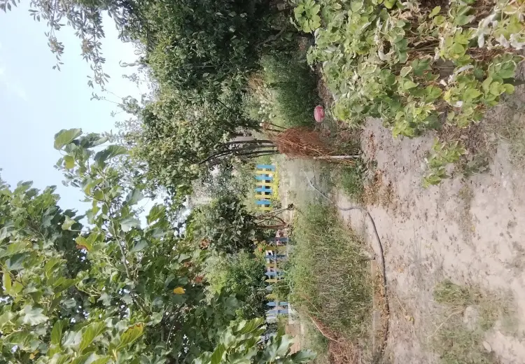 4 otaqlı mənzil , Sumqayıt