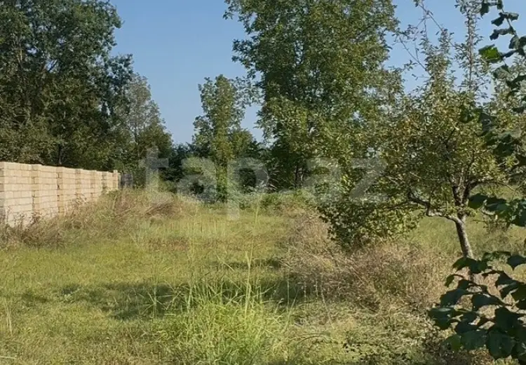 0 m² Obyekt / Ofis , Qəbələ