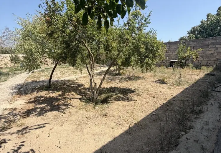 7 sot Torpaq Satılır, Bilgəh qəs., Sabunçu, Bakı