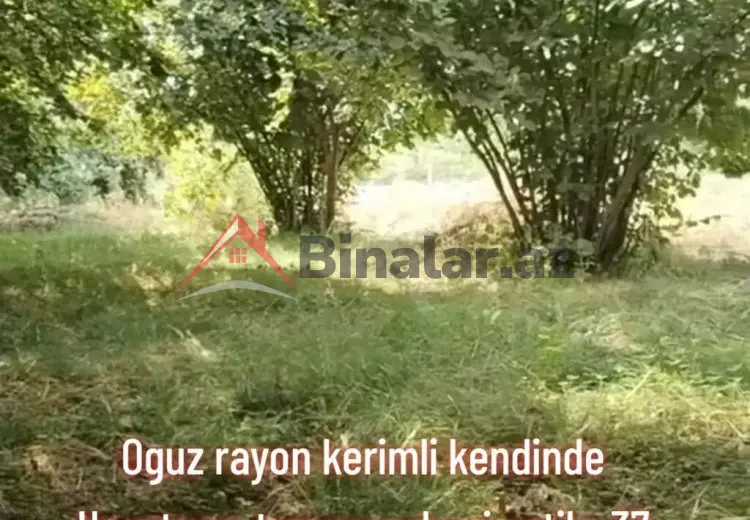 37 sot Torpaq Satılır, Oğuz
