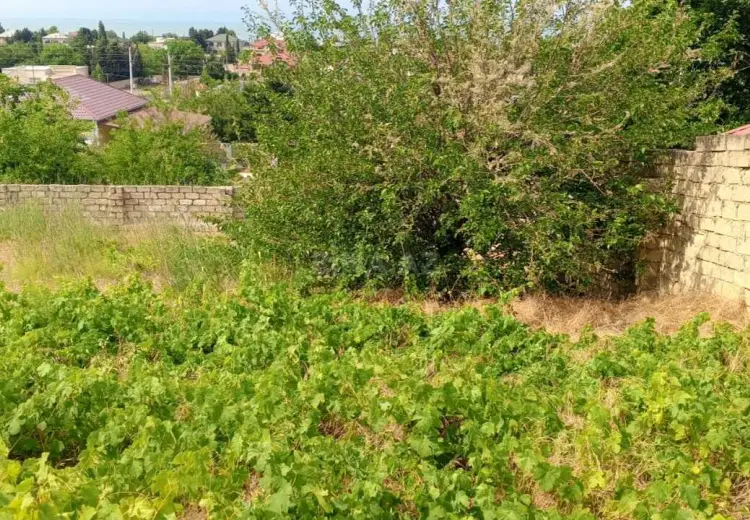 16.5 sot Torpaq Satılır, Goradil, Abşeron