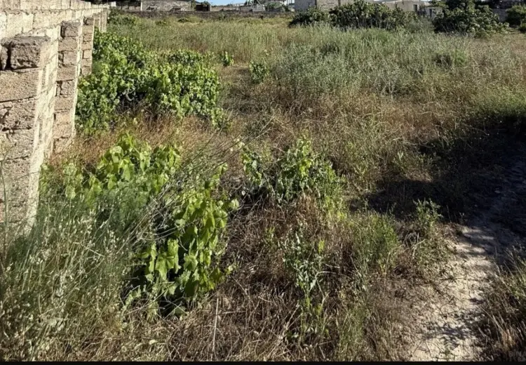 6 sot Torpaq Satılır, Sabunçu, Bakı