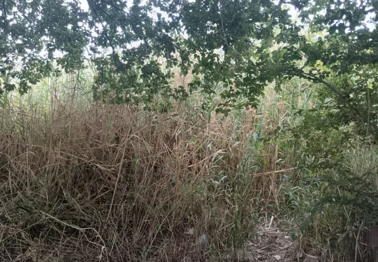 5 sot Torpaq Satılır, Bayıl qəs., Səbail, Bakı