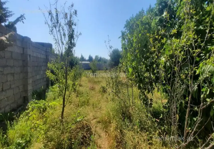 9.5 sot Torpaq Satılır, Albalı qəs., Sabunçu, Bakı