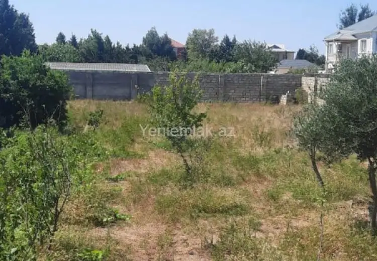 9.5 sot Torpaq Satılır, Albalı qəs., Sabunçu, Bakı