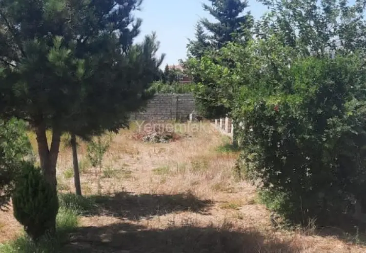 9.5 sot Torpaq Satılır, Albalı qəs., Sabunçu, Bakı