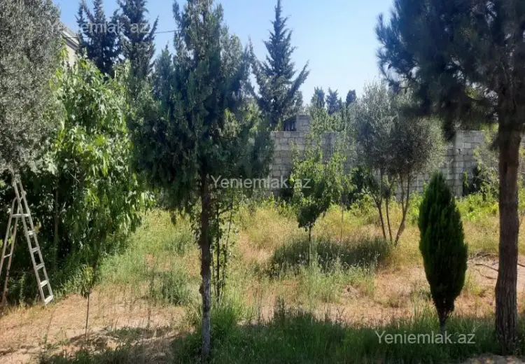 9.5 sot Torpaq Satılır, Albalı qəs., Sabunçu, Bakı