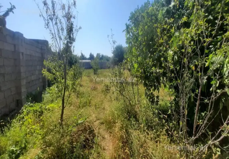 9.5 sot Torpaq Satılır, Albalı qəs., Sabunçu, Bakı