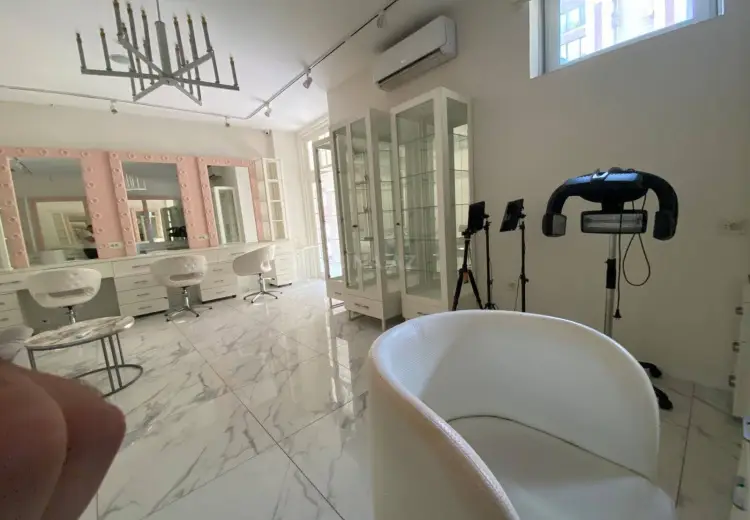225 m² Obyekt / Ofis Kirayə (aylıq), Nərimanov, Bakı