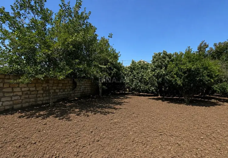 4 sot Torpaq Satılır, Saray, Abşeron