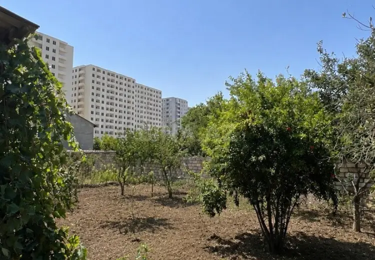4 sot Torpaq Satılır, Saray, Abşeron