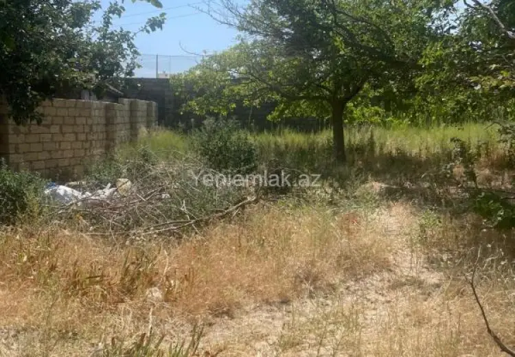 15 sot Torpaq Satılır, Novxanı, Abşeron