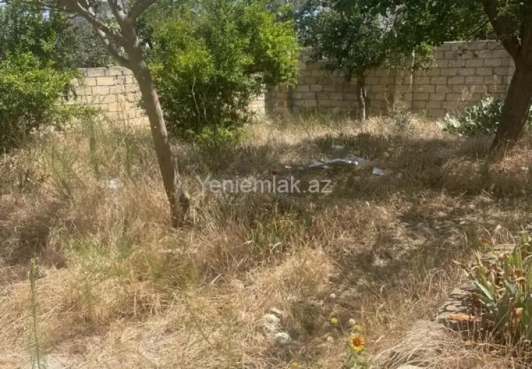 15 sot Torpaq Satılır, Novxanı, Abşeron