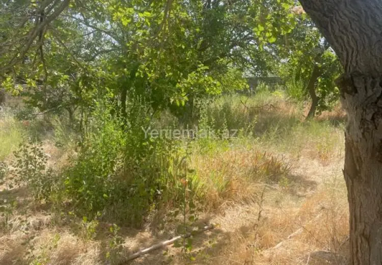 15 sot Torpaq Satılır, Novxanı, Abşeron